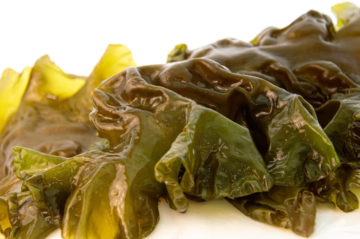 What Is Kelp? A Complete Guide to Sugar Kelp — Taste, Nutrition & Sustainability