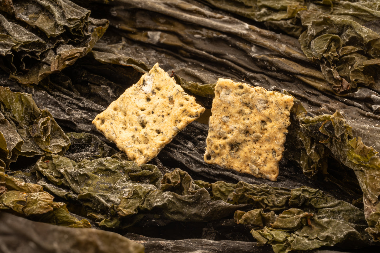 A savoury Mediterranean dish featuring KelpEat seaweed, illustrating the natural umami flavour of kelp