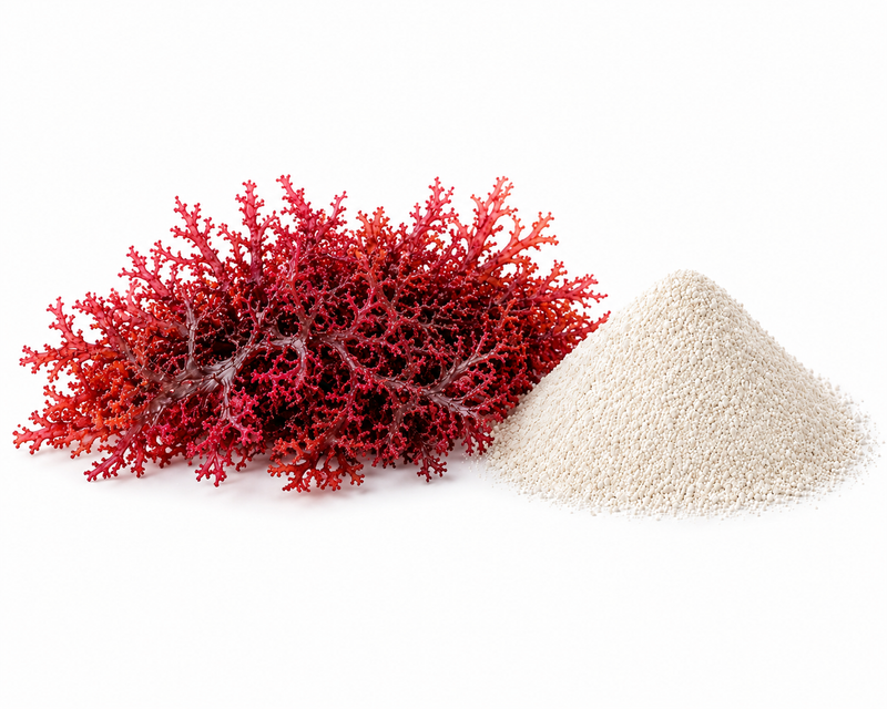 Carrageenan E407 powder — seaweed-derived hydrocolloid