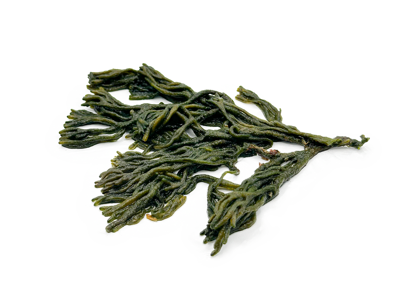 Codium — dried green seaweed ingredient
