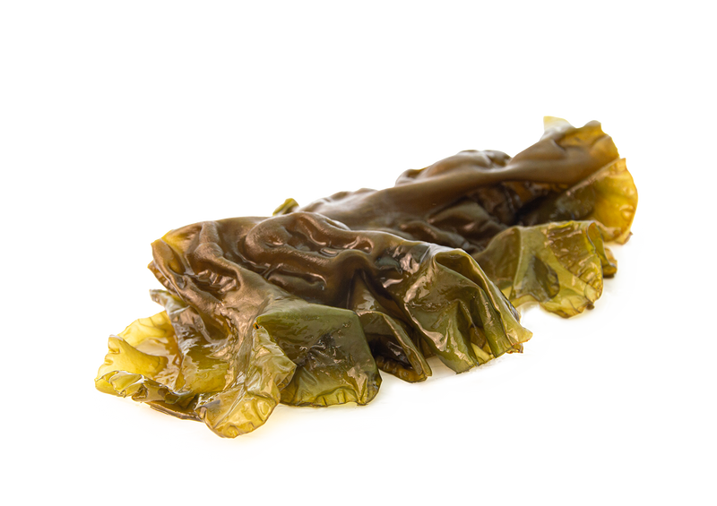 Kelp — dried brown seaweed ingredient