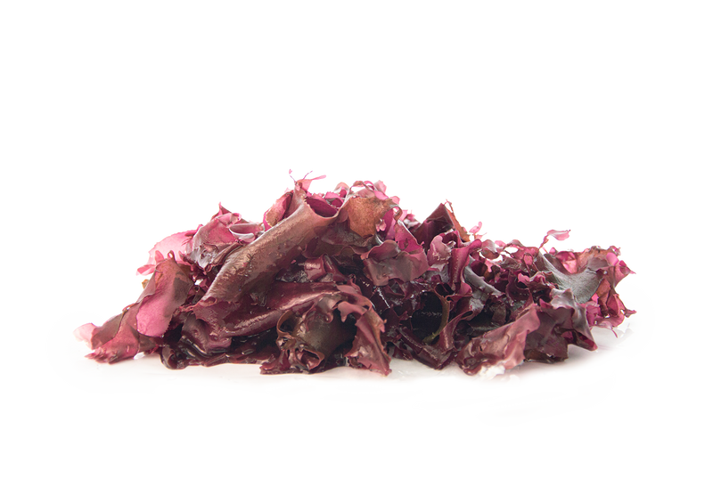 Dulse (Palmaria palmata) — dried red seaweed ingredient