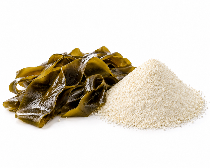 Sodium alginate E401 powder — seaweed-derived hydrocolloid